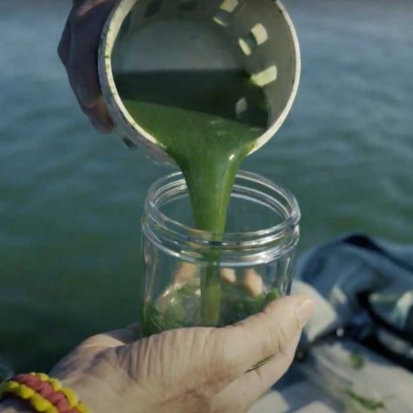 Researchers taking a biological sample and pouring it into a container