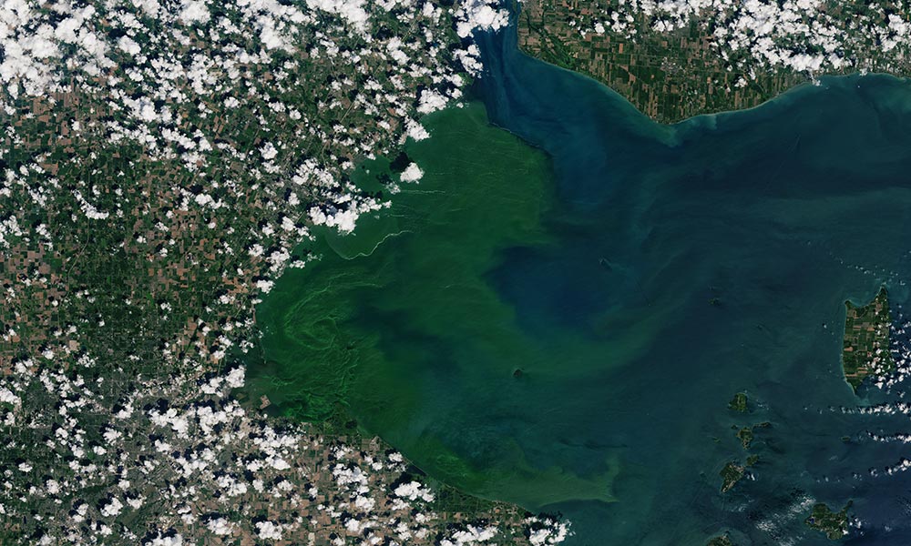 Erie Algal Bloom from a Satelitte