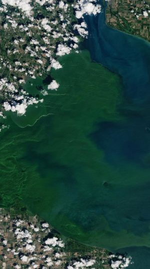 Aerial view of the algae bloom in Lake Erie