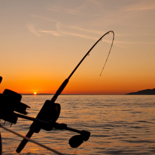 fishing pole bent sunset fishing pole bent sunset