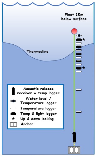 A diagram showing acoustic release receiver connected to an anchor and water level, temperature, and light loggers, floating 10m below the surface and straddling the thermocline. 