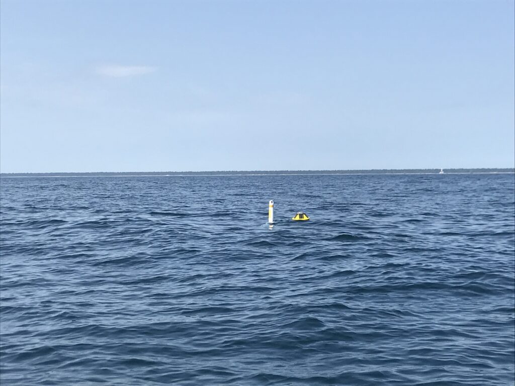 sanctuary buoy deployment in the water floating