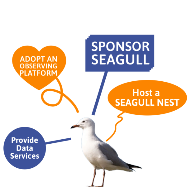 Suggestion Seagull