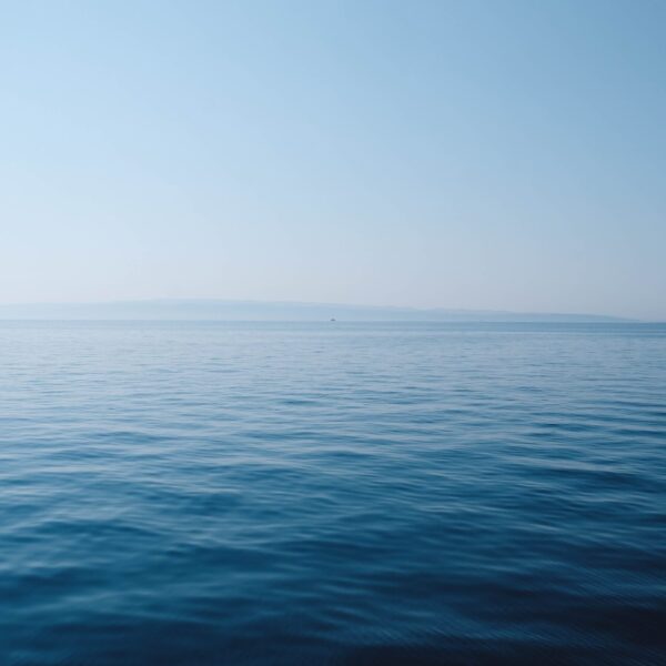 thomas-vimare-IZ01rjX0XQA-unsplash(1)