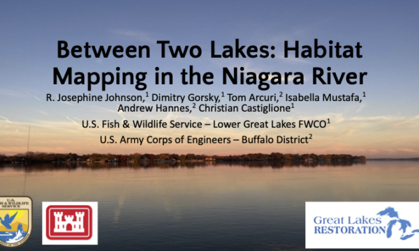 Josephine Johnson-Between Two Lakes-Habitat Mapping in the Niagara River