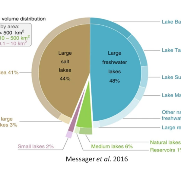 sgliimage_global representation of lake volume distribution_Messager et al. 2016