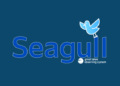 “Support Seagull” Campaign Update